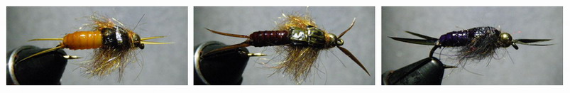 cac_selects_stone_flies